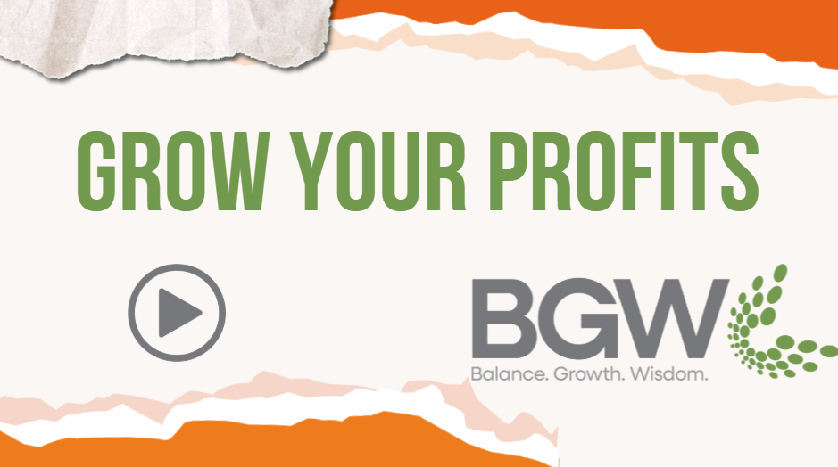 About BGW: Business Accounting Firm and Business Growth Consultancy